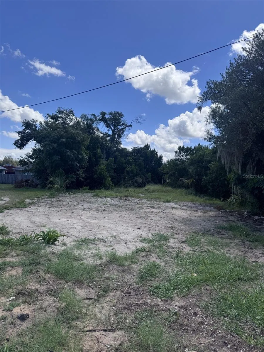 232 C STREET Lake Wales, FL 33853