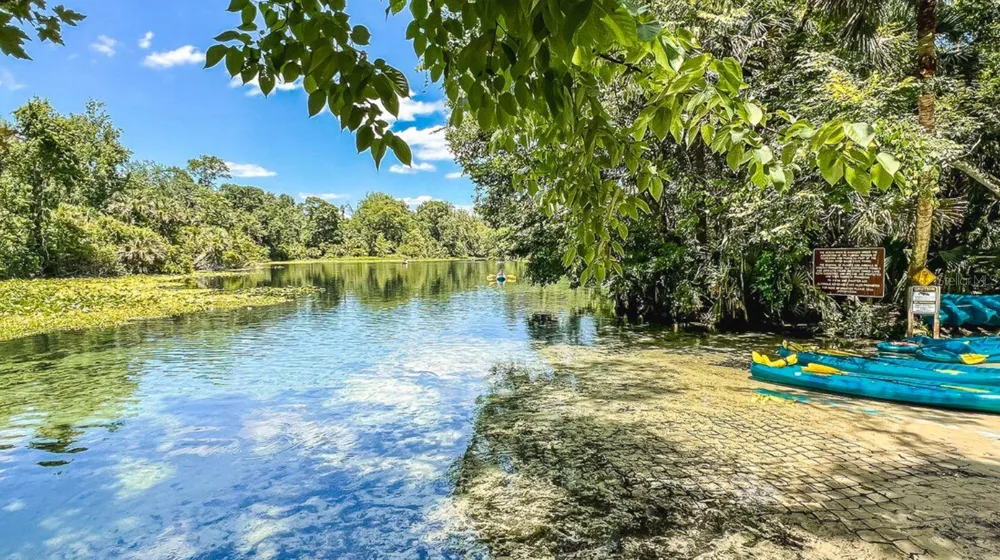 2662 FIDDLE LEAF LOOP Apopka, FL 32712