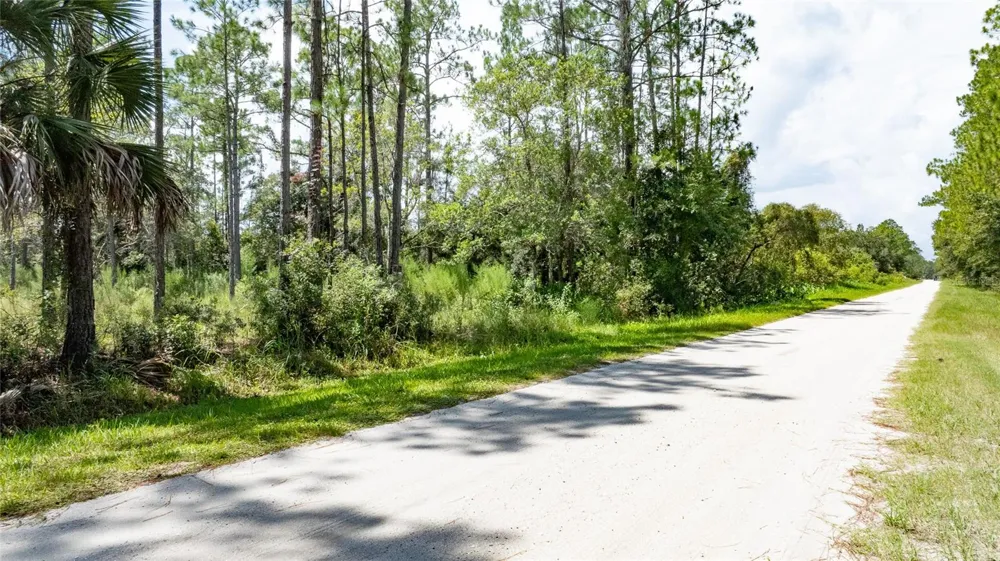 5669 MANGO AVENUE Bunnell, FL 32110
