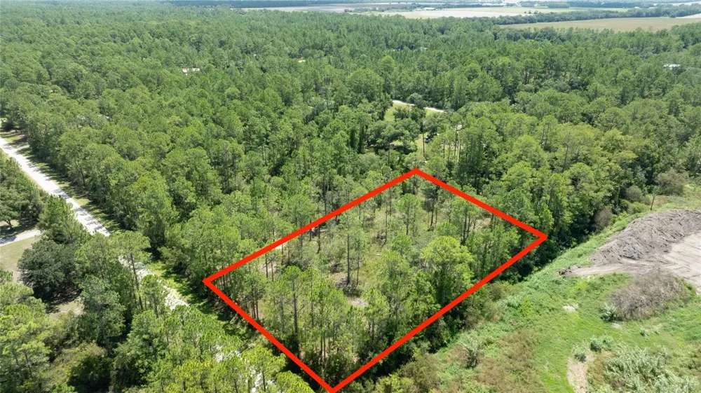 5669 MANGO AVENUE Bunnell, FL 32110