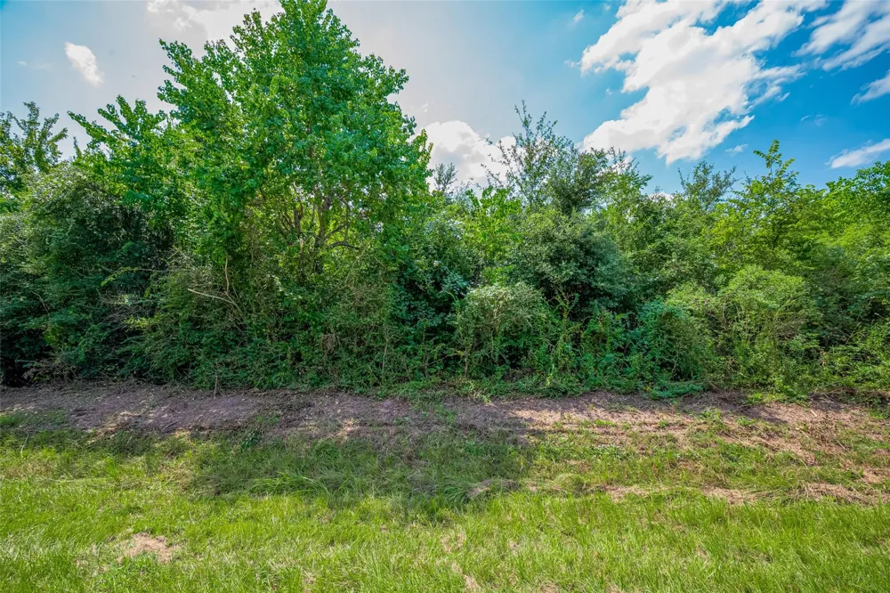 Knebel Road Waller, TX 77484
