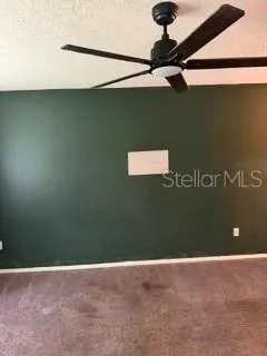 4143 ROLLING SPRINGS DRIVE Tampa, FL 33624