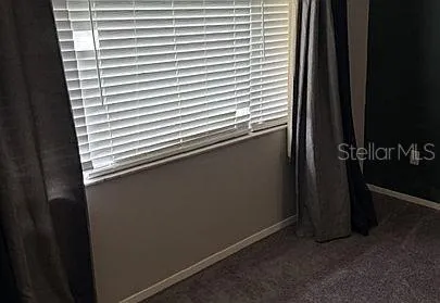 4143 ROLLING SPRINGS DRIVE Tampa, FL 33624