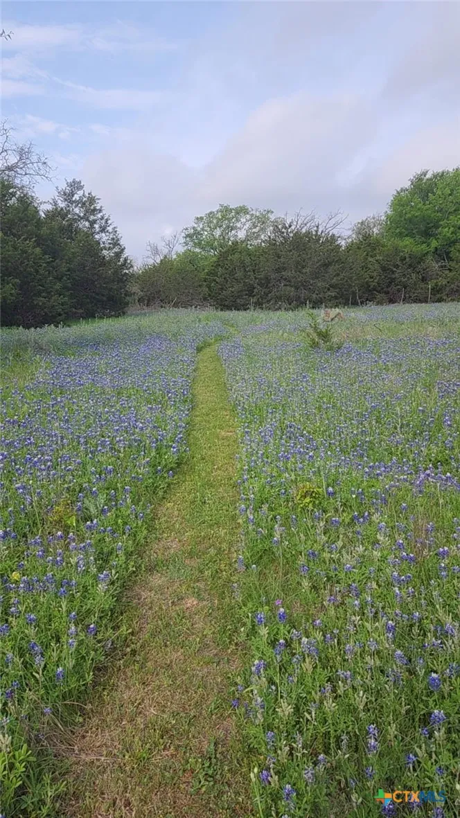370 County Road 3106 Kempner, TX 76539