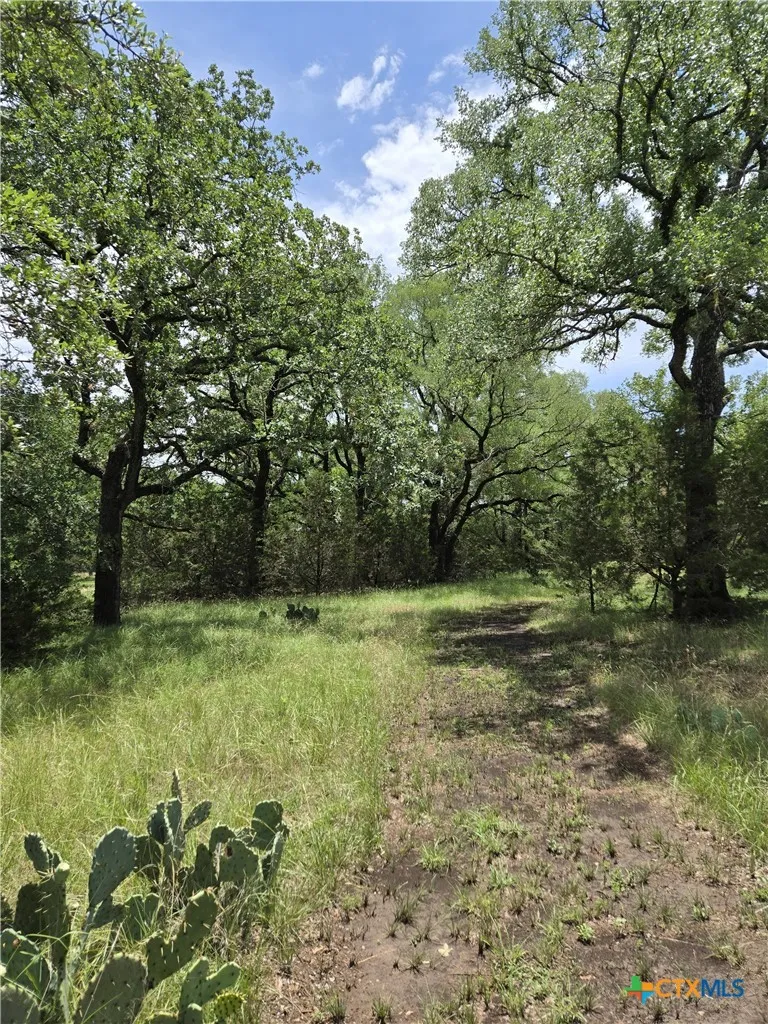 370 County Road 3106 Kempner, TX 76539
