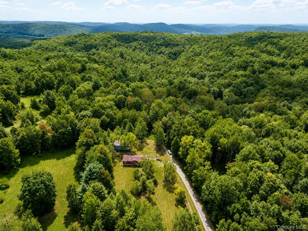 624 County Road 93 Roscoe, NY 12776
