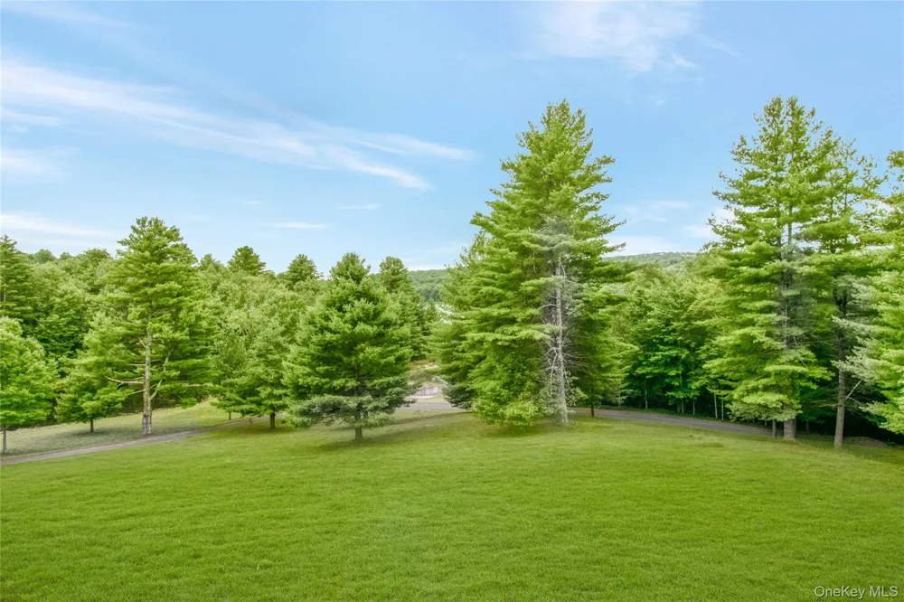 941 Starlight Road Monticello, NY 12701