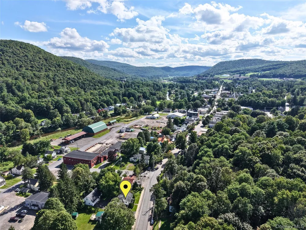 193 Main Street Delhi, NY 13753