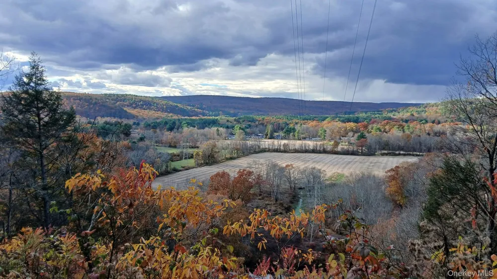 38 Horseshoe Bend Road Cuddebackville, NY 12729