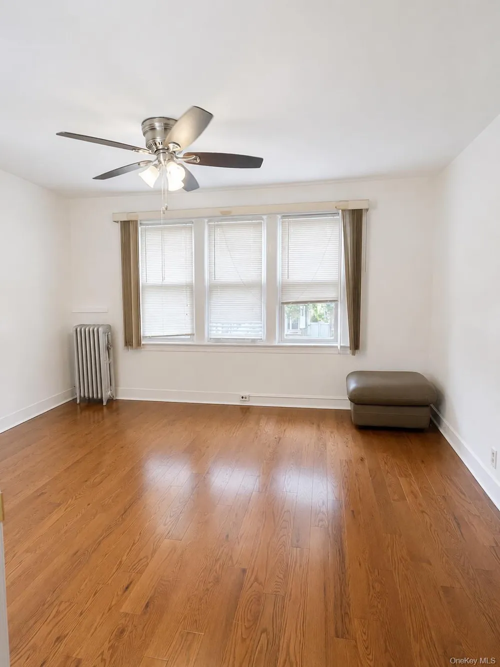 8815 215th Street Queens Village, NY 11427
