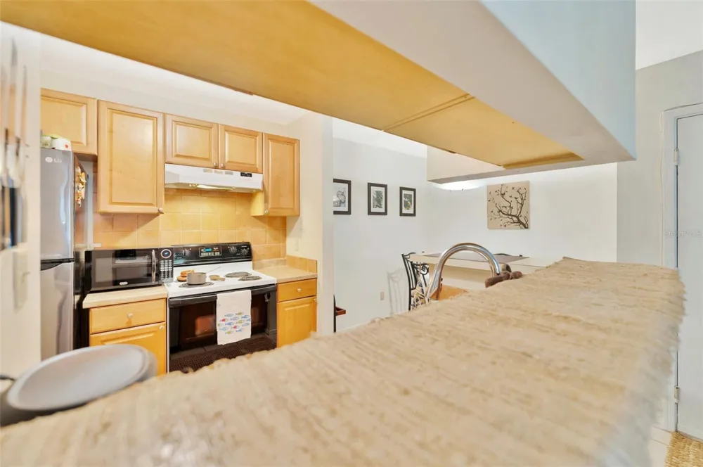 1400 GANDY BOULEVARD #1501 St Petersburg, FL 33702