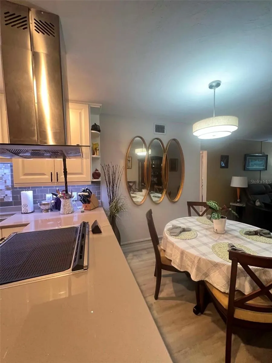 5820 43RD TERRACE TERRACE #1404 Kenneth City, FL 33709