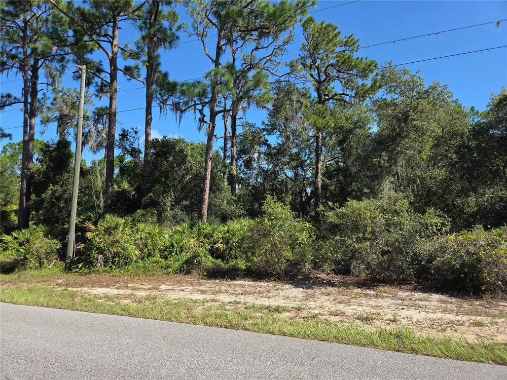 DEER ROAD Frostproof, FL 33843