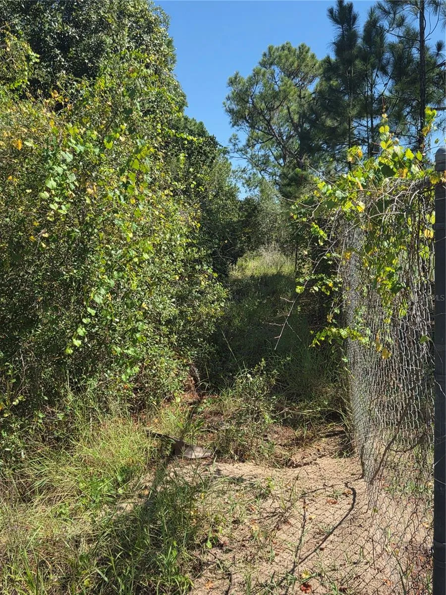 DEER ROAD Frostproof, FL 33843