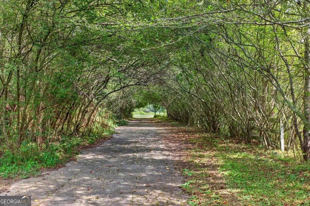 195 River ST Ellijay, GA 30540