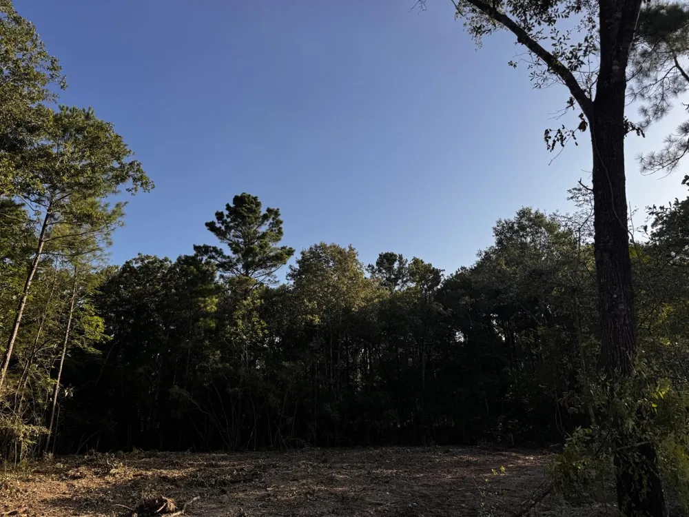 Stillwater Cove Drive Montgomery, TX 77356