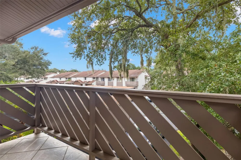 631 FAIRMONT AVENUE #C Safety Harbor, FL 34695