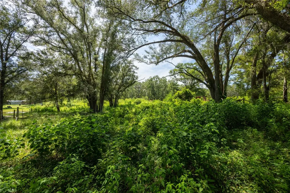 239 SW CANDI COURT Fort White, FL 32038