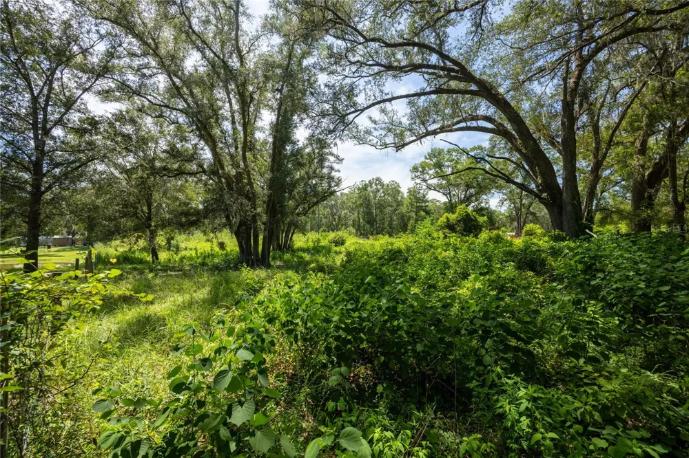 239 SW CANDI COURT Fort White, FL 32038