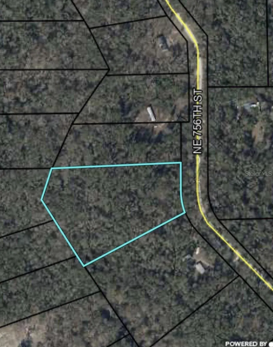 0 NE 756 STREET Old Town, FL 32680