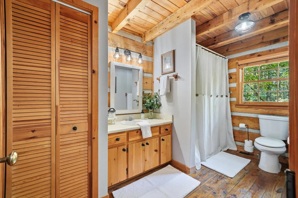 46 Gooseberry Trail Blue Ridge, GA 30513