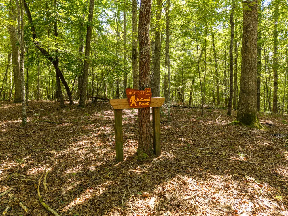 46 Gooseberry Trail Blue Ridge, GA 30513