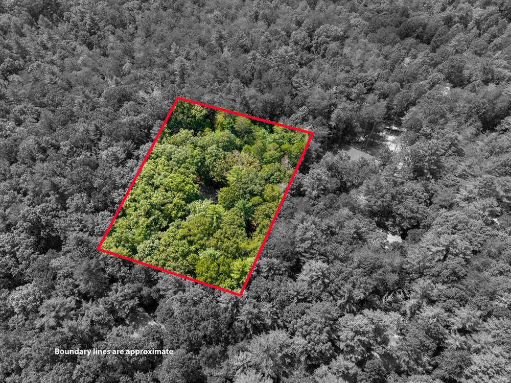 46 Gooseberry Trail Blue Ridge, GA 30513