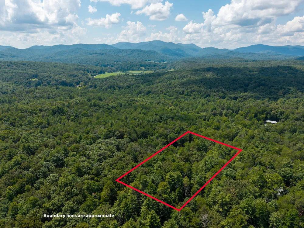 46 Gooseberry Trail Blue Ridge, GA 30513