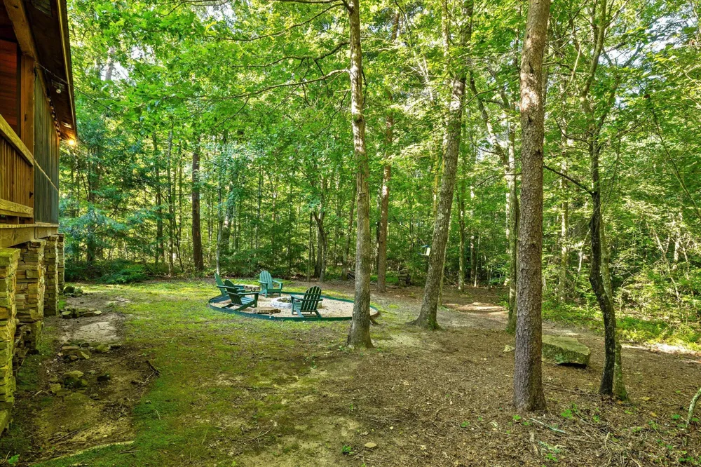 6115 Cove Road Mentone, AL 35984