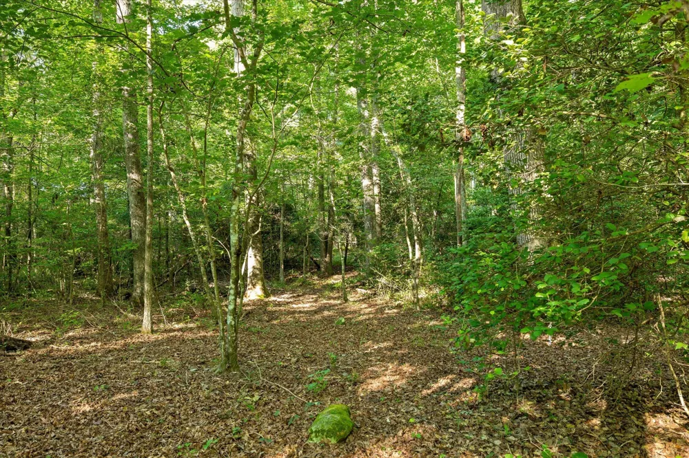 6115 Cove Road Mentone, AL 35984