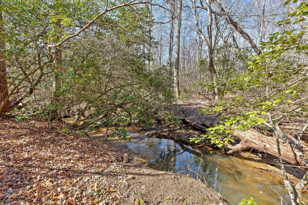 6115 Cove Road Mentone, AL 35984