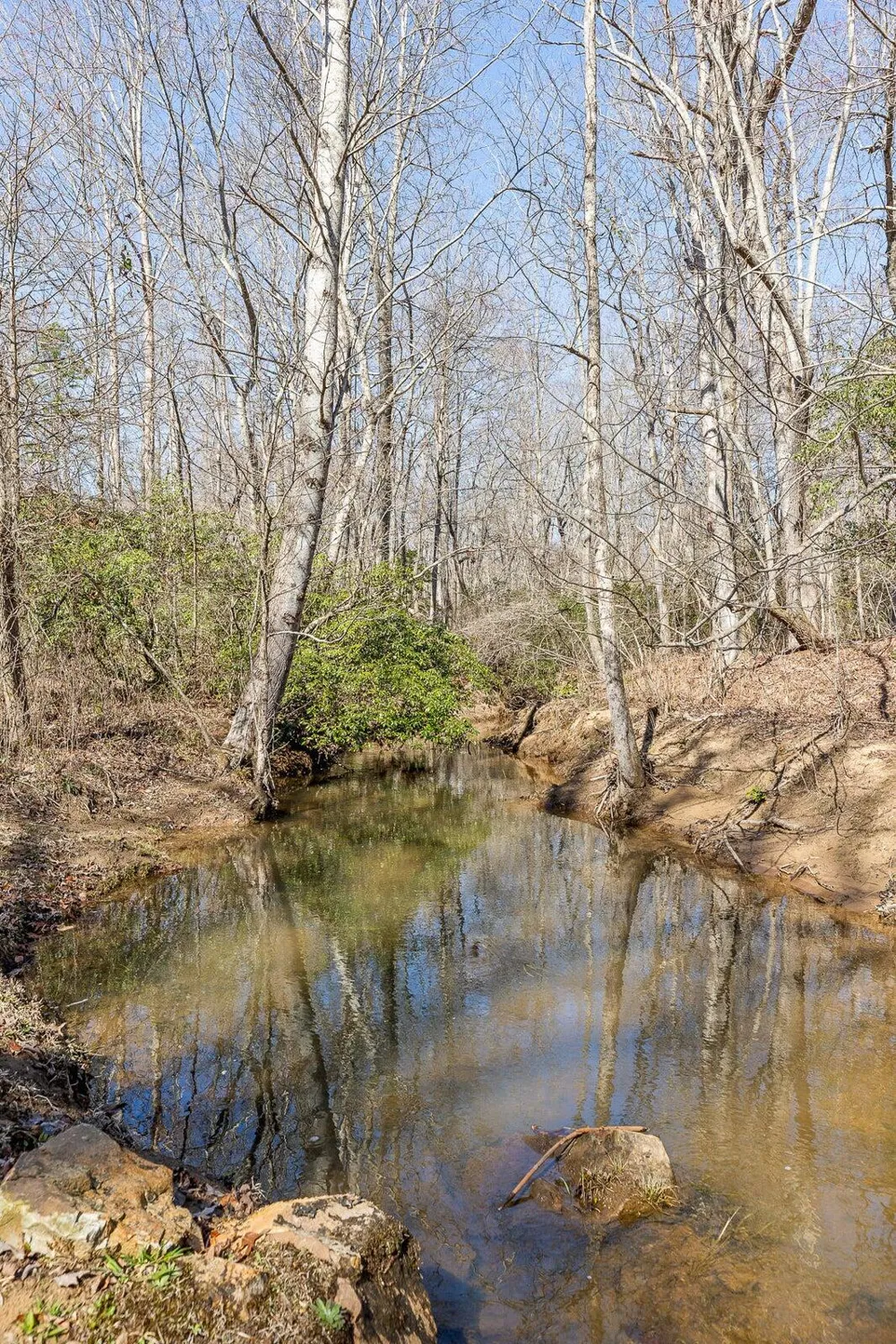 6115 Cove Road Mentone, AL 35984