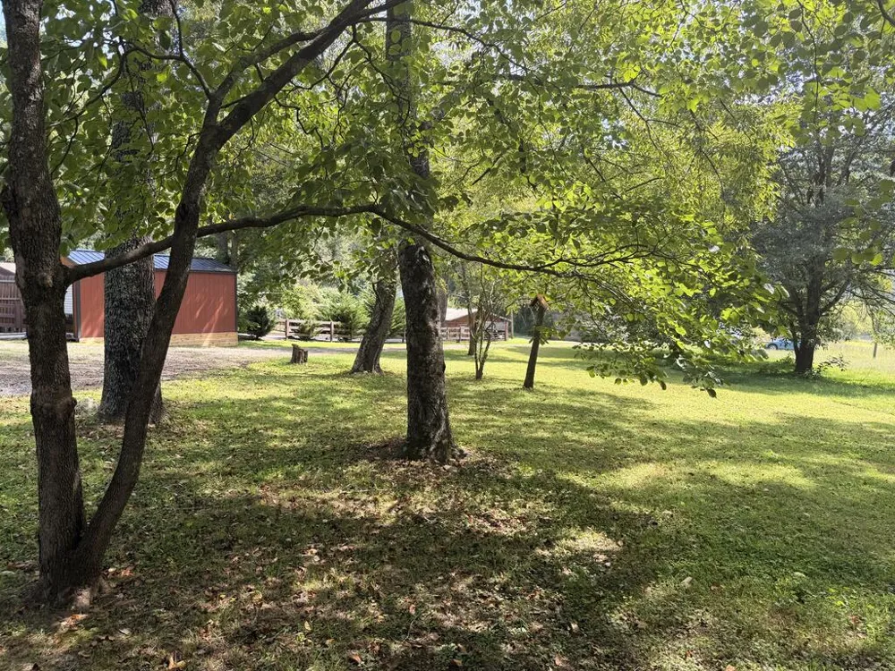 43 Wild Horse Road Sylva, NC 28779