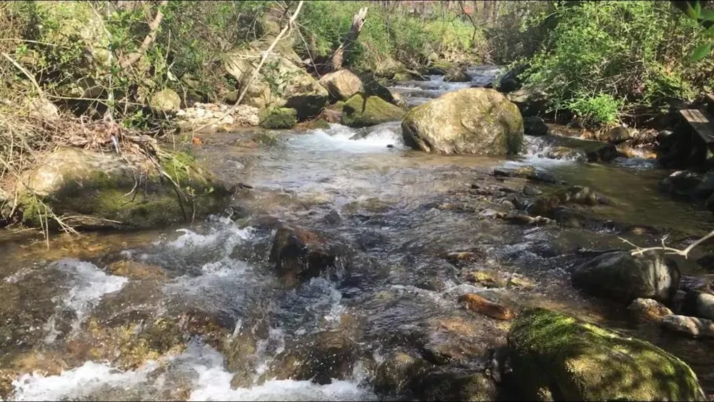 43 Wild Horse Road Sylva, NC 28779