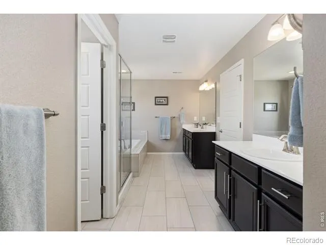 6151 Washakie Court Timnath, CO 80547