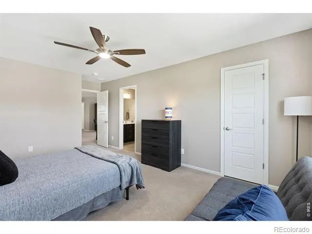 6151 Washakie Court Timnath, CO 80547
