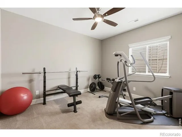 6151 Washakie Court Timnath, CO 80547
