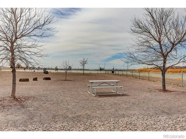 826 Elias Tarn Drive Severance, CO 80550