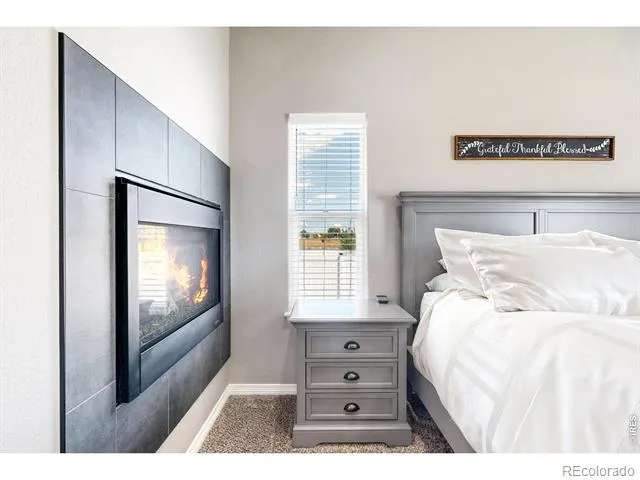 1799 Tinkers Drive Windsor, CO 80550