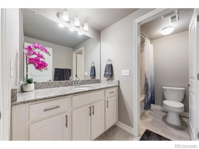1799 Tinkers Drive Windsor, CO 80550
