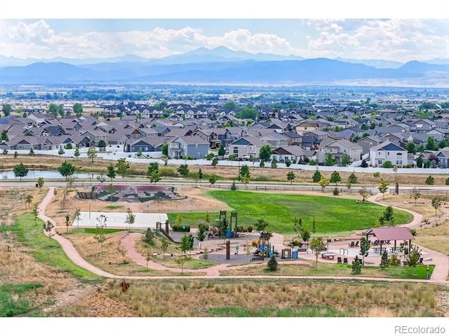 1799 Tinkers Drive Windsor, CO 80550