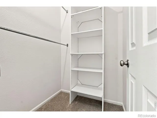 2828 Silverplume Drive Fort Collins, CO 80526