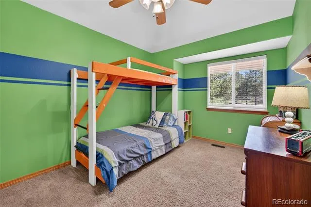 2141 Valley View Drive Woodland Park, CO 80863