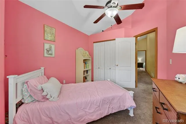 2141 Valley View Drive Woodland Park, CO 80863