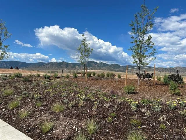 9204 Star Fall Circle Littleton, CO 80125
