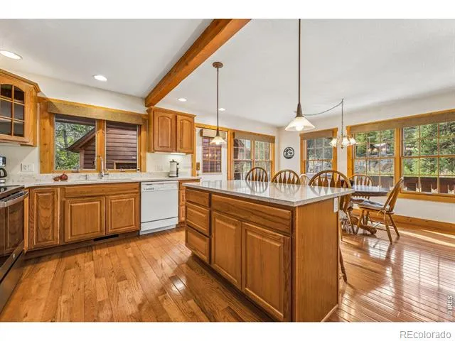 119 Berthoud Dale Lane Drake, CO 80515