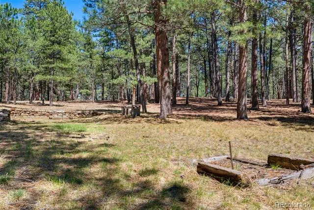 19665 Desparado Drive Colorado Springs, CO 80908