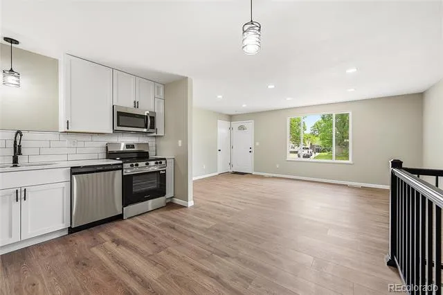 3513 E 117th Place Denver, CO 80233