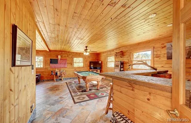 325 Road D Pine, CO 80470