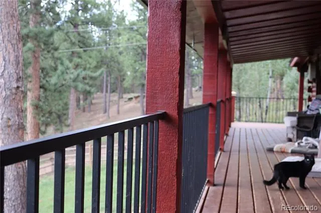 325 Road D Pine, CO 80470